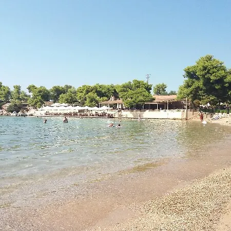 Sunny Place Resort